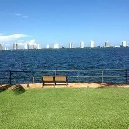 a view of a backyard of a house