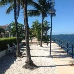 a view of a lake with a big yard