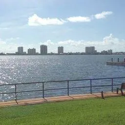a view of a garden with a palm tree