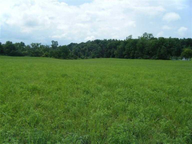 11620 South Tripp Road Waldron, MI 49288 - Photo 12 of 14 Additional Photo