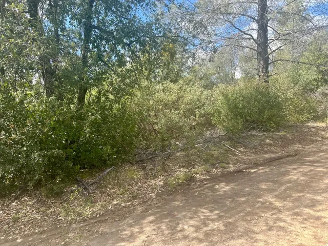 $45,000 | 0 Par 26c-4 Sutter Creek, Sutter Creek, CA 95685