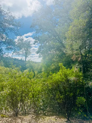 $45,000 | 0 Par 26c-4 Sutter Creek, Sutter Creek, CA 95685