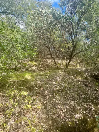 a view of a small yard