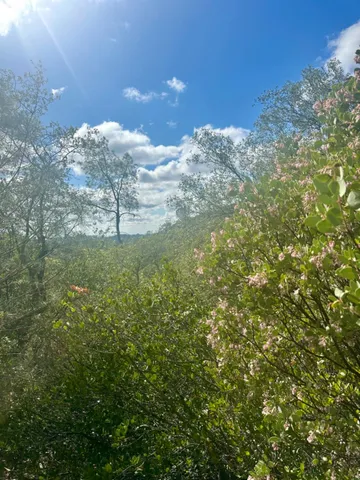 $45,000 | 0 Par 26c-4 Sutter Creek, Sutter Creek, CA 95685