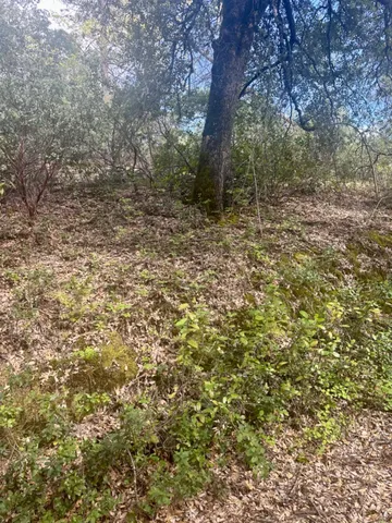 $45,000 | 0 Par 26c-4 Sutter Creek, Sutter Creek, CA 95685