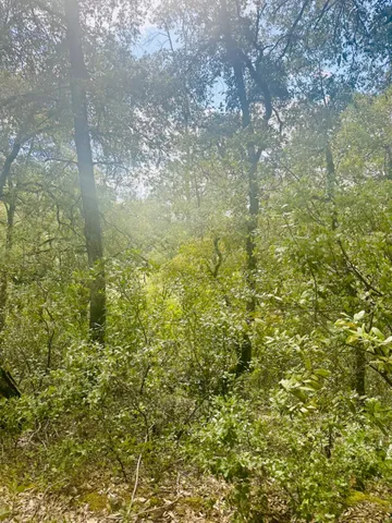 $45,000 | 0 Par 26c-4 Sutter Creek, Sutter Creek, CA 95685