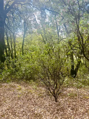 $45,000 | 0 Par 26c-4 Sutter Creek, Sutter Creek, CA 95685