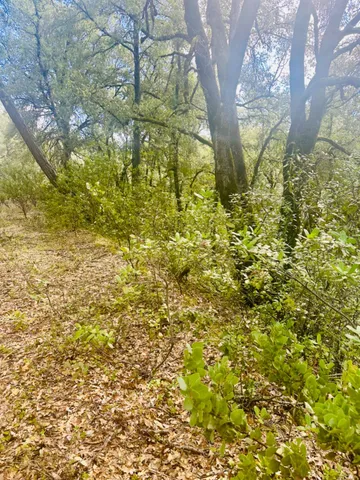 $45,000 | 0 Par 26c-4 Sutter Creek, Sutter Creek, CA 95685