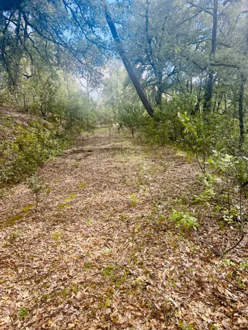 $45,000 | 0 Par 26c-4 Sutter Creek, Sutter Creek, CA 95685