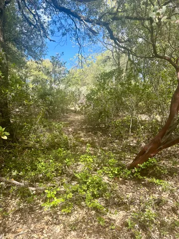 $45,000 | 0 Par 26c-4 Sutter Creek, Sutter Creek, CA 95685