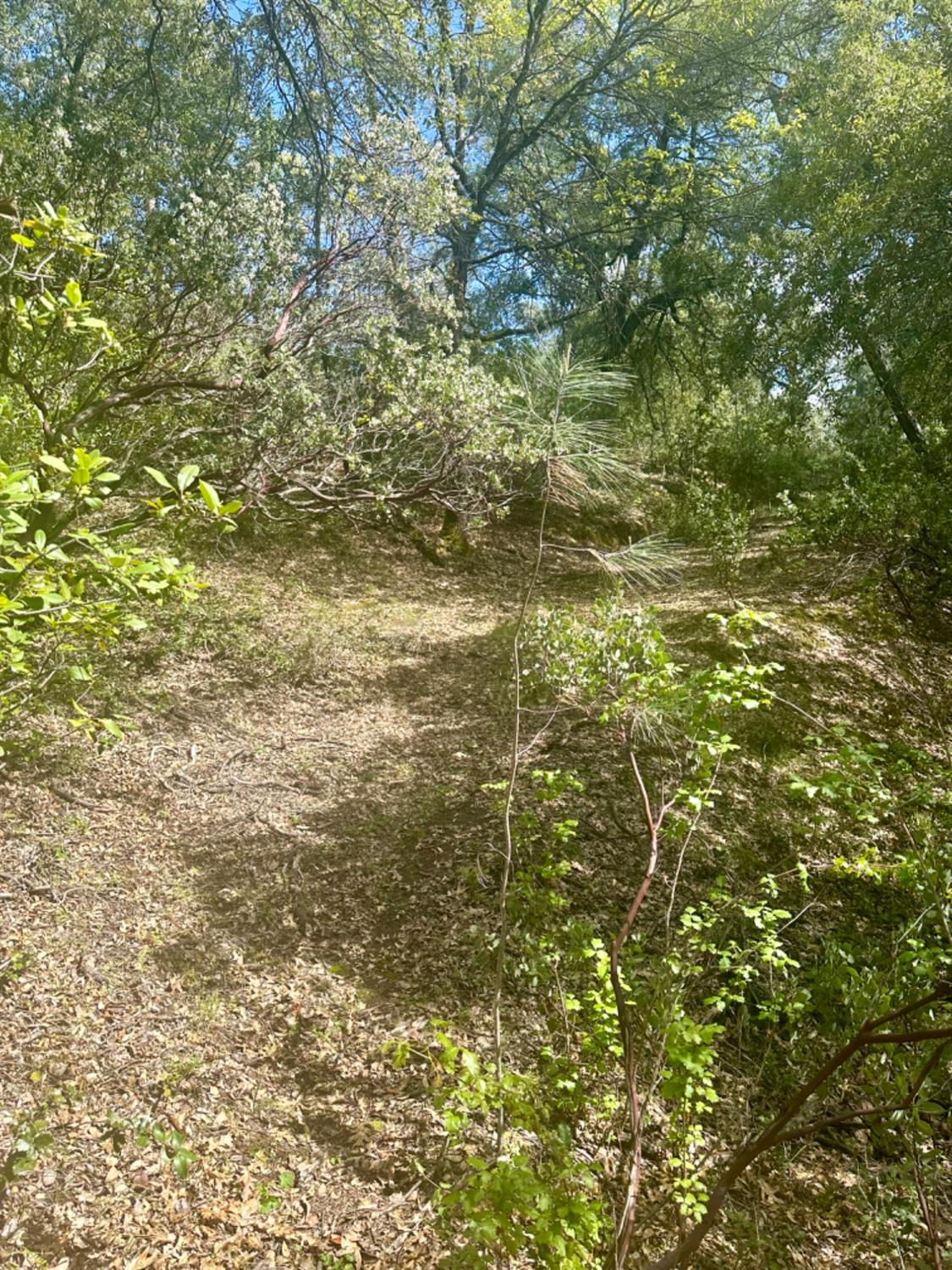 0 Par 26c-4 Sutter Creek Sutter Creek, CA 95685 - Photo 25 of 39 a view of a yard