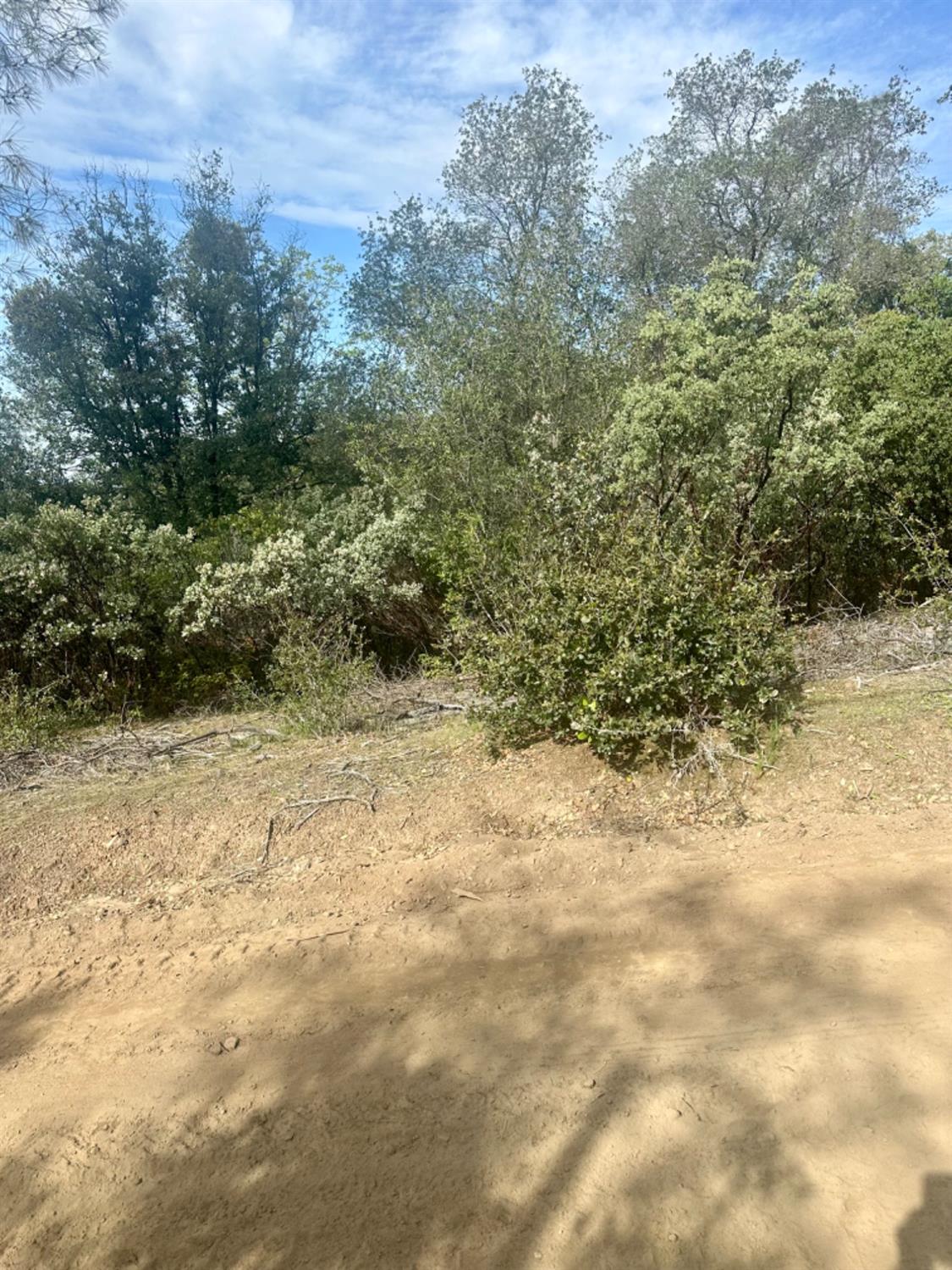 0 Par 26c-4 Sutter Creek Sutter Creek, CA 95685 - Photo 26 of 39 a view of a yard with a tree