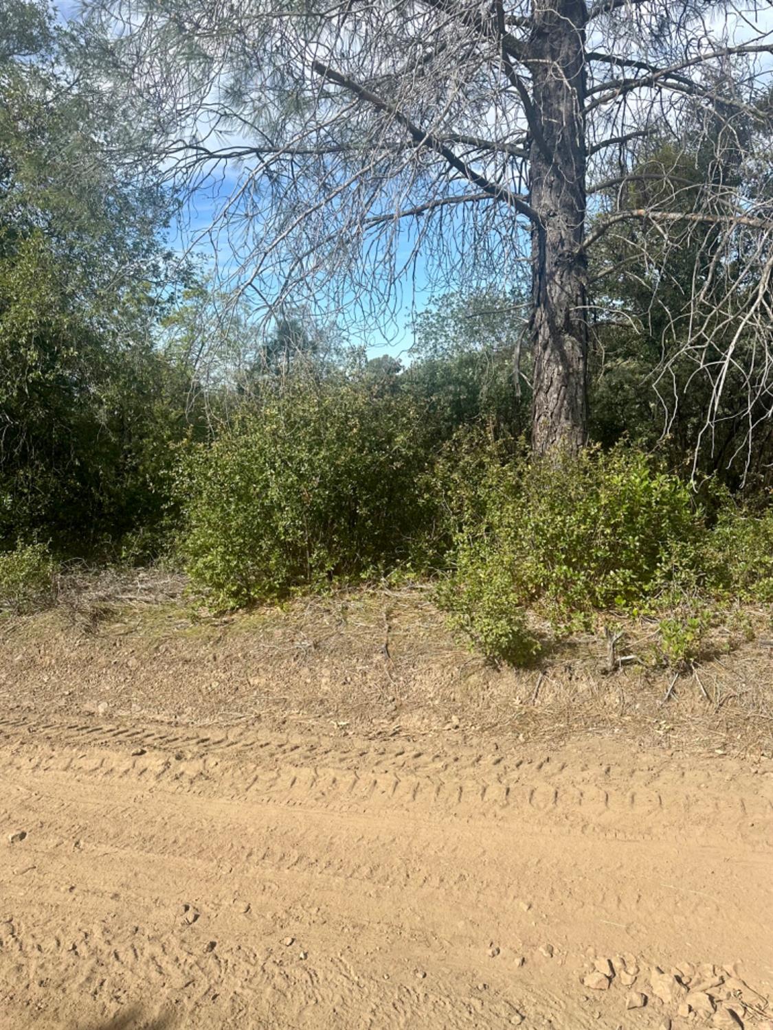 0 Par 26c-4 Sutter Creek Sutter Creek, CA 95685 - Photo 27 of 39 a view of a yard with a tree