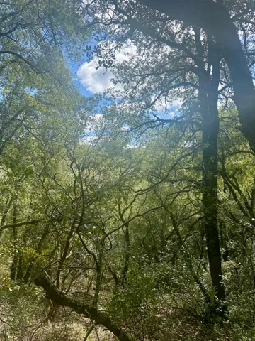 $45,000 | 0 Par 26c-4 Sutter Creek, Sutter Creek, CA 95685