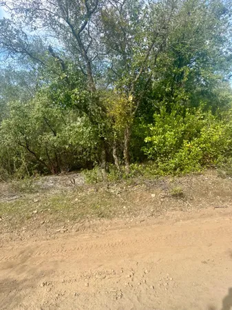 a view of beach and an ocean