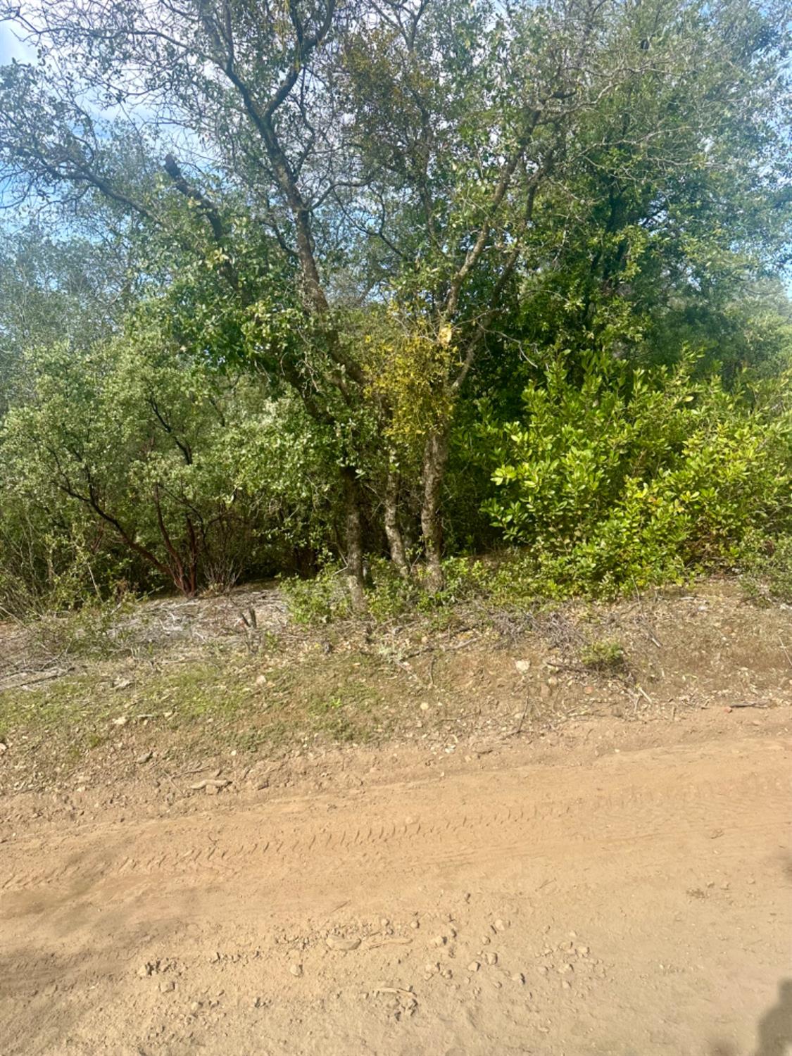 0 Par 26c-4 Sutter Creek Sutter Creek, CA 95685 - Photo 29 of 39 a view of backyard with green space
