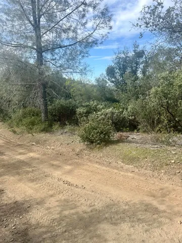 $45,000 | 0 Par 26c-4 Sutter Creek, Sutter Creek, CA 95685