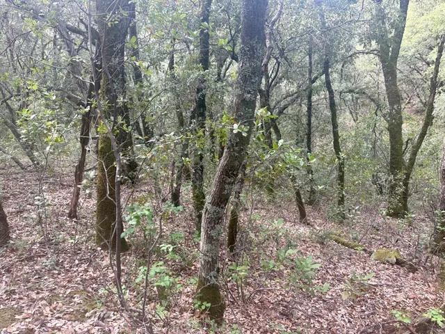 $45,000 | 0 Par 26c-4 Sutter Creek, Sutter Creek, CA 95685