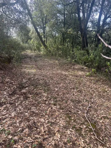 $45,000 | 0 Par 26c-4 Sutter Creek, Sutter Creek, CA 95685