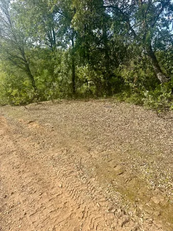 a view of a yard covered in snow