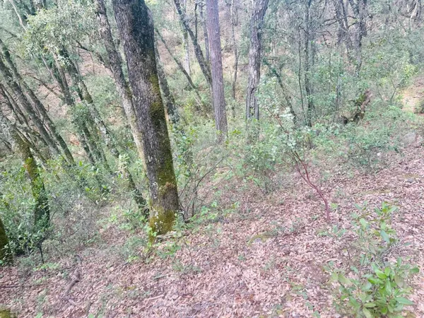 $45,000 | 0 Par 26c-4 Sutter Creek, Sutter Creek, CA 95685