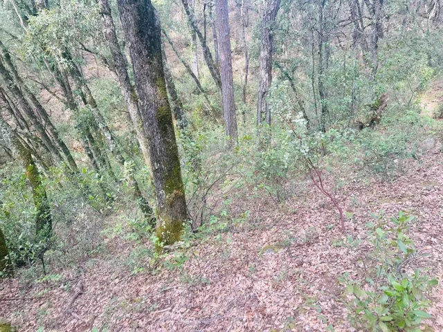 $45,000 | 0 Par 26c-4 Sutter Creek, Sutter Creek, CA 95685