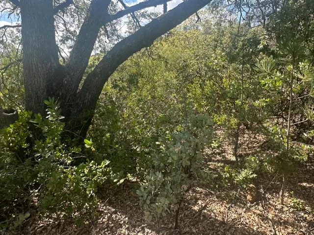 $45,000 | 0 Par 26c-4 Sutter Creek, Sutter Creek, CA 95685