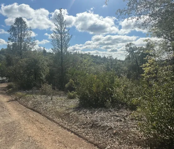 $45,000 | 0 Par 26c-4 Sutter Creek, Sutter Creek, CA 95685