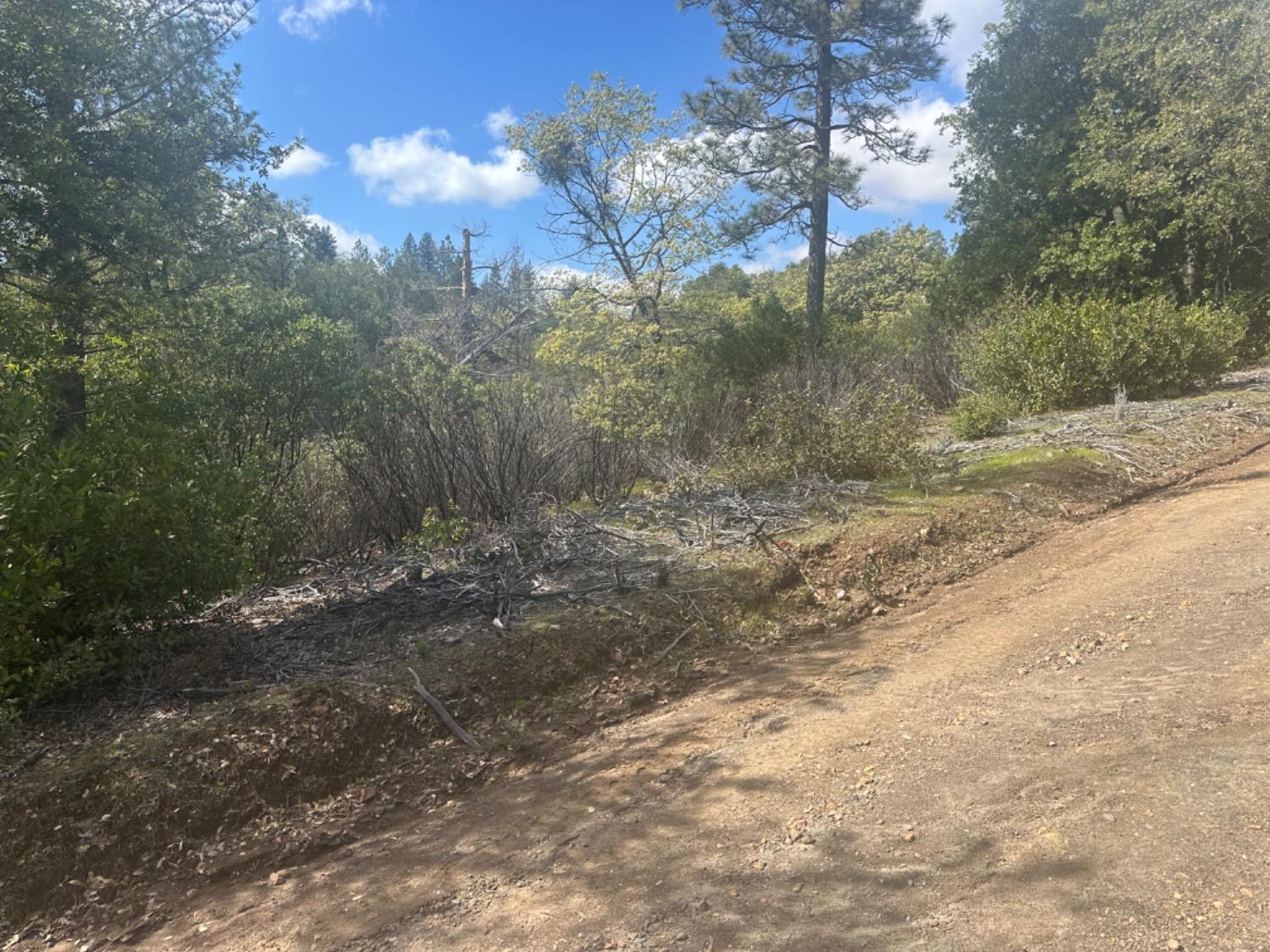 0 Par 26c-4 Sutter Creek Sutter Creek, CA 95685 - Photo 8 of 39 a view of a yard with trees and a road