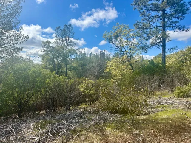 $45,000 | 0 Par 26c-4 Sutter Creek, Sutter Creek, CA 95685