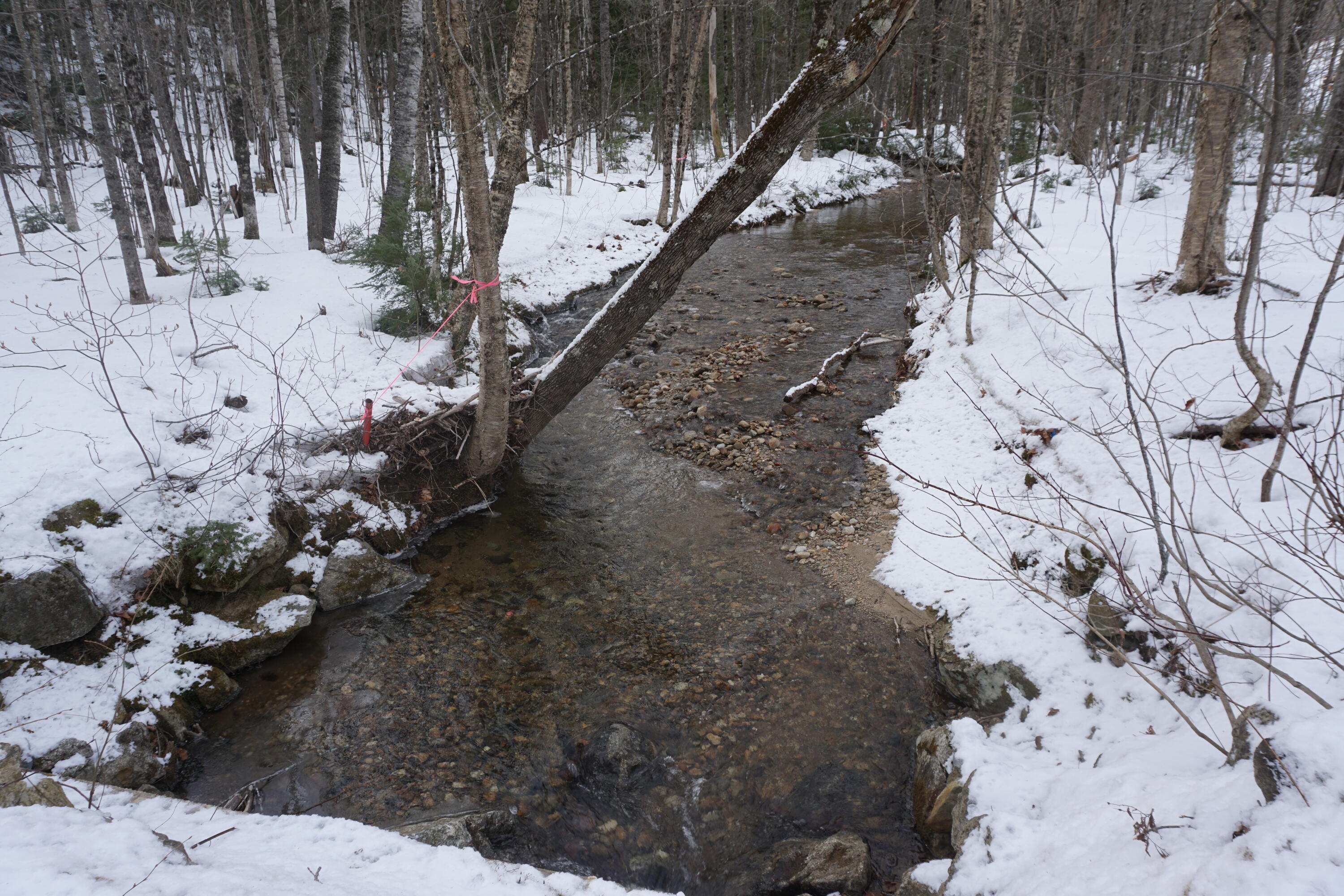 1 Redding Road Sumner, ME 04292 - Photo 2 of 21