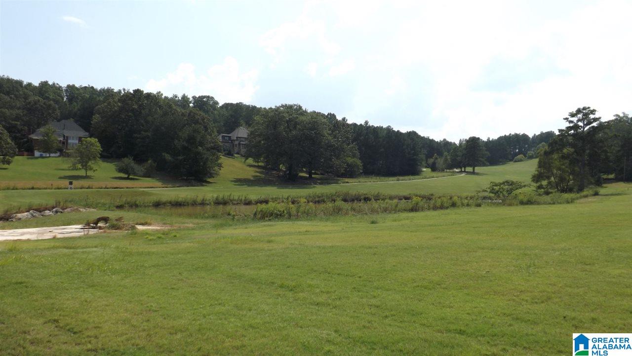 0 Quail Ridge Road, Unit 1 Oneonta, AL 35121 - Photo 8 of 18