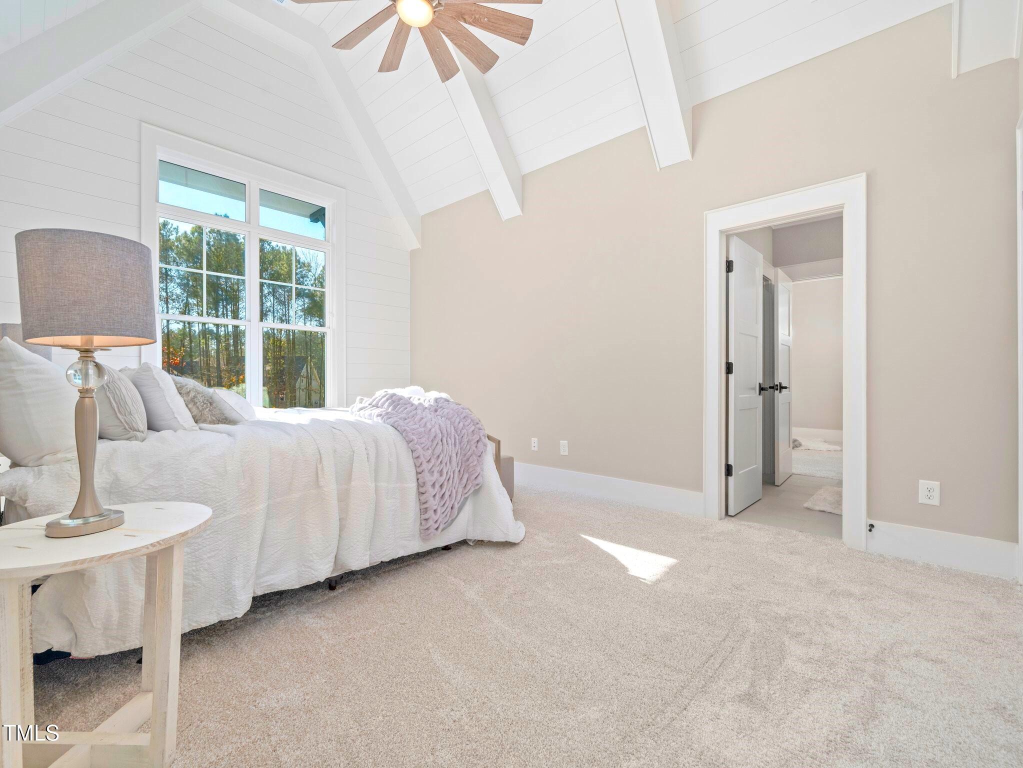 145 Wiggins Road Louisburg, NC 27549 - Photo 56 of 80 3rd bedroom 2