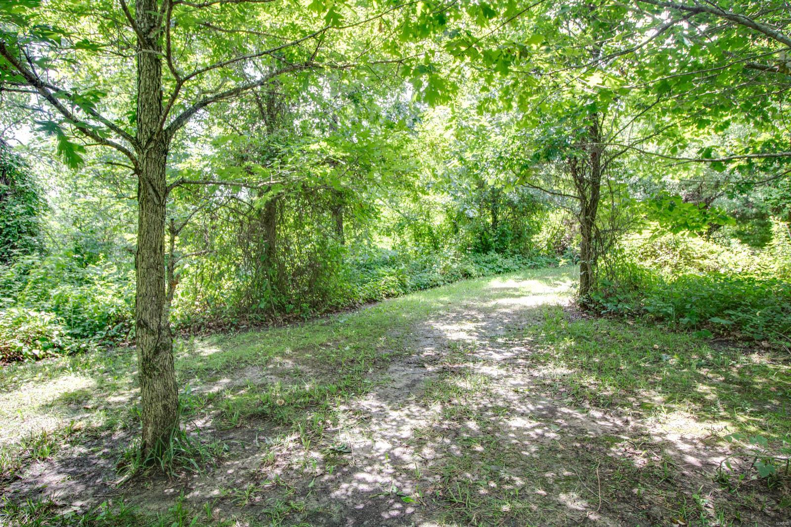 3493 Elliott Road Bunker Hill, IL 62014 - Photo 62 of 67