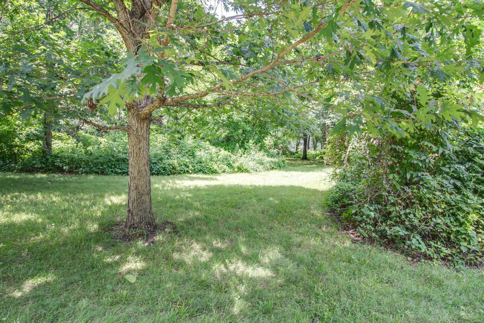 3493 Elliott Road Bunker Hill, IL 62014 - Photo 64 of 67