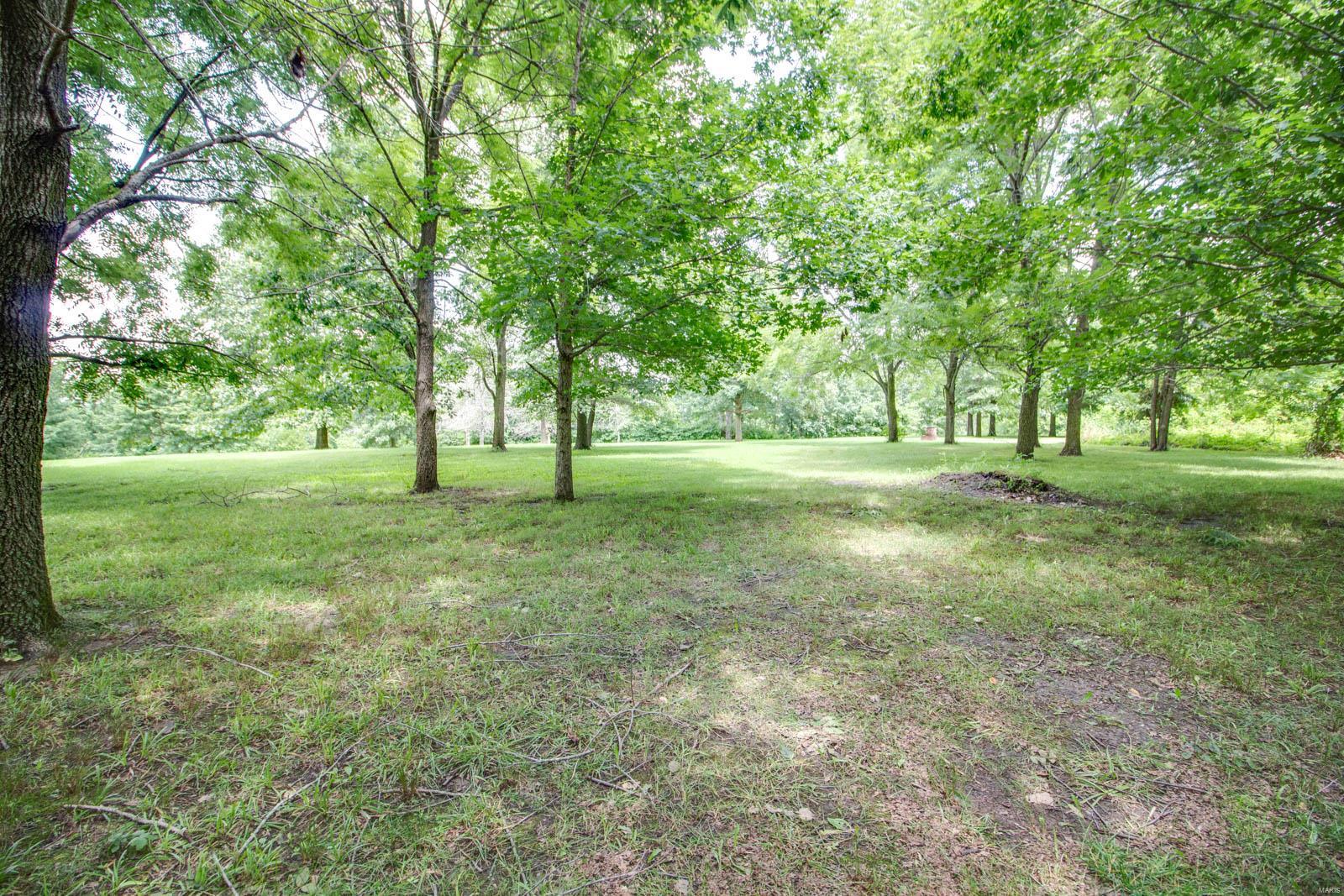 3493 Elliott Road Bunker Hill, IL 62014 - Photo 66 of 67