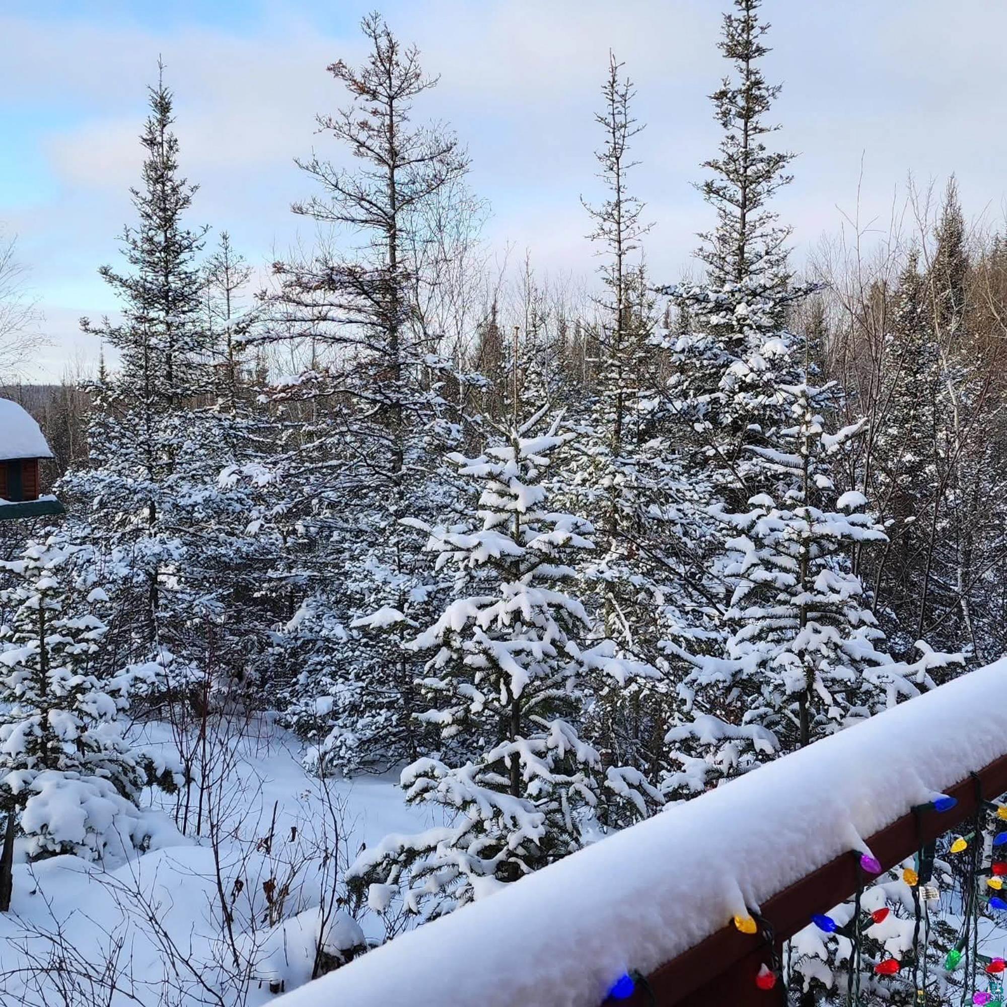 14632 Moose Lake Road Ely, MN 55731 - Photo 69 of 72