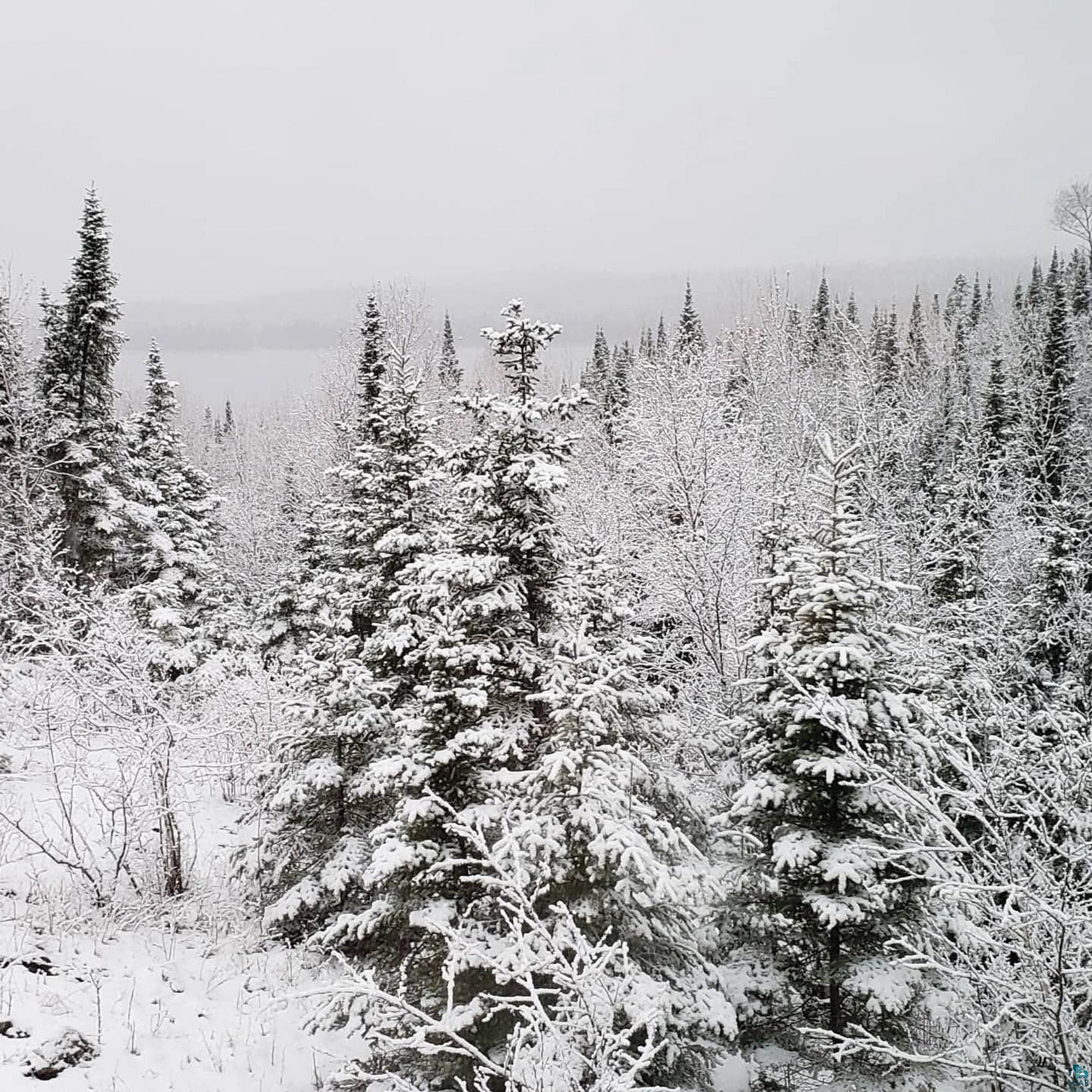 14632 Moose Lake Road Ely, MN 55731 - Photo 71 of 72