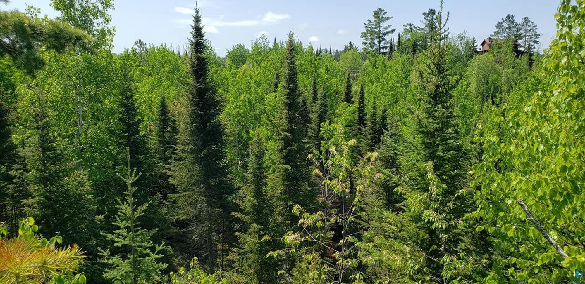 14632 Moose Lake Road Ely, MN 55731 - Photo 72 of 72