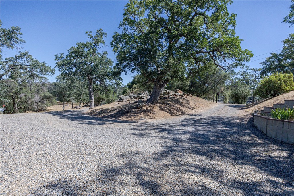36846 Batti Road Coarsegold, CA 93614 - Photo 35 of 62