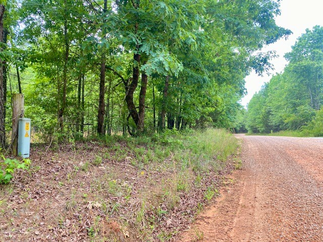 0 Pete Johnson Road Tignall, GA 30668 - Photo 37 of 43 Road Frontage access to Power and Fiber Optics