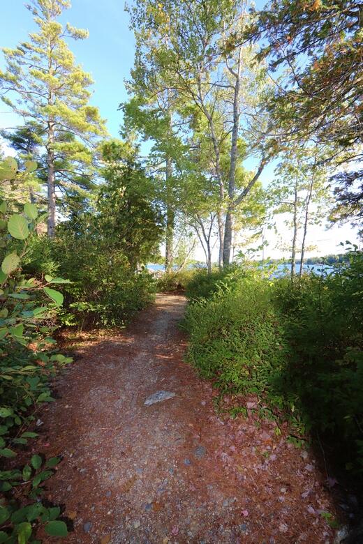 769 Green Lake Road Dedham, ME 04429 - Photo 14 of 55 IMG_5840 (Copy)