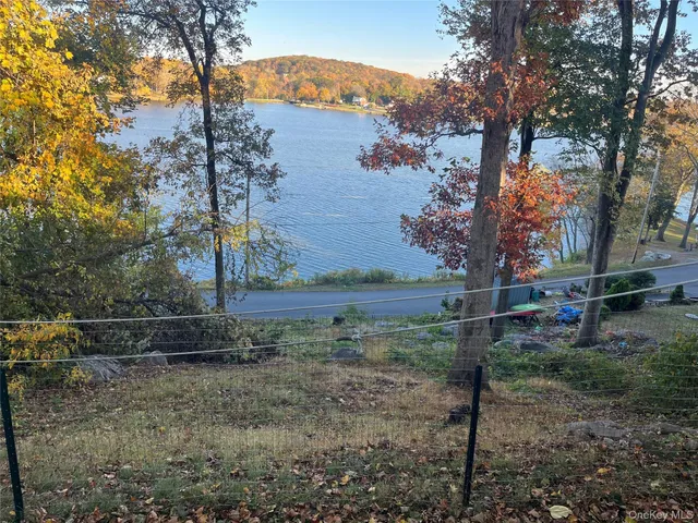 a view of backyard with green space