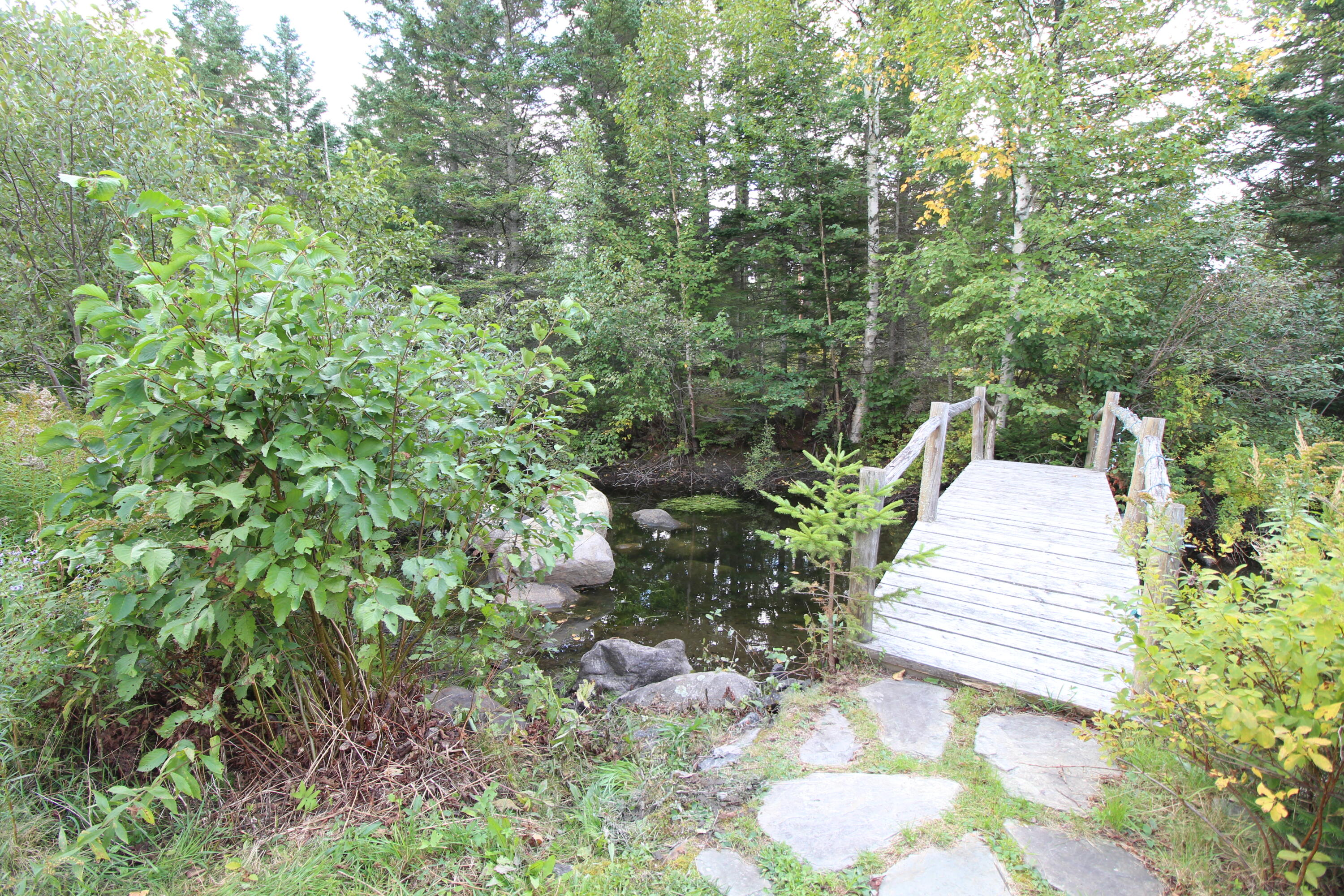 650 Dallas Hill Road Dallas Plt, ME 04970 - Photo 8 of 37 IMG_3233