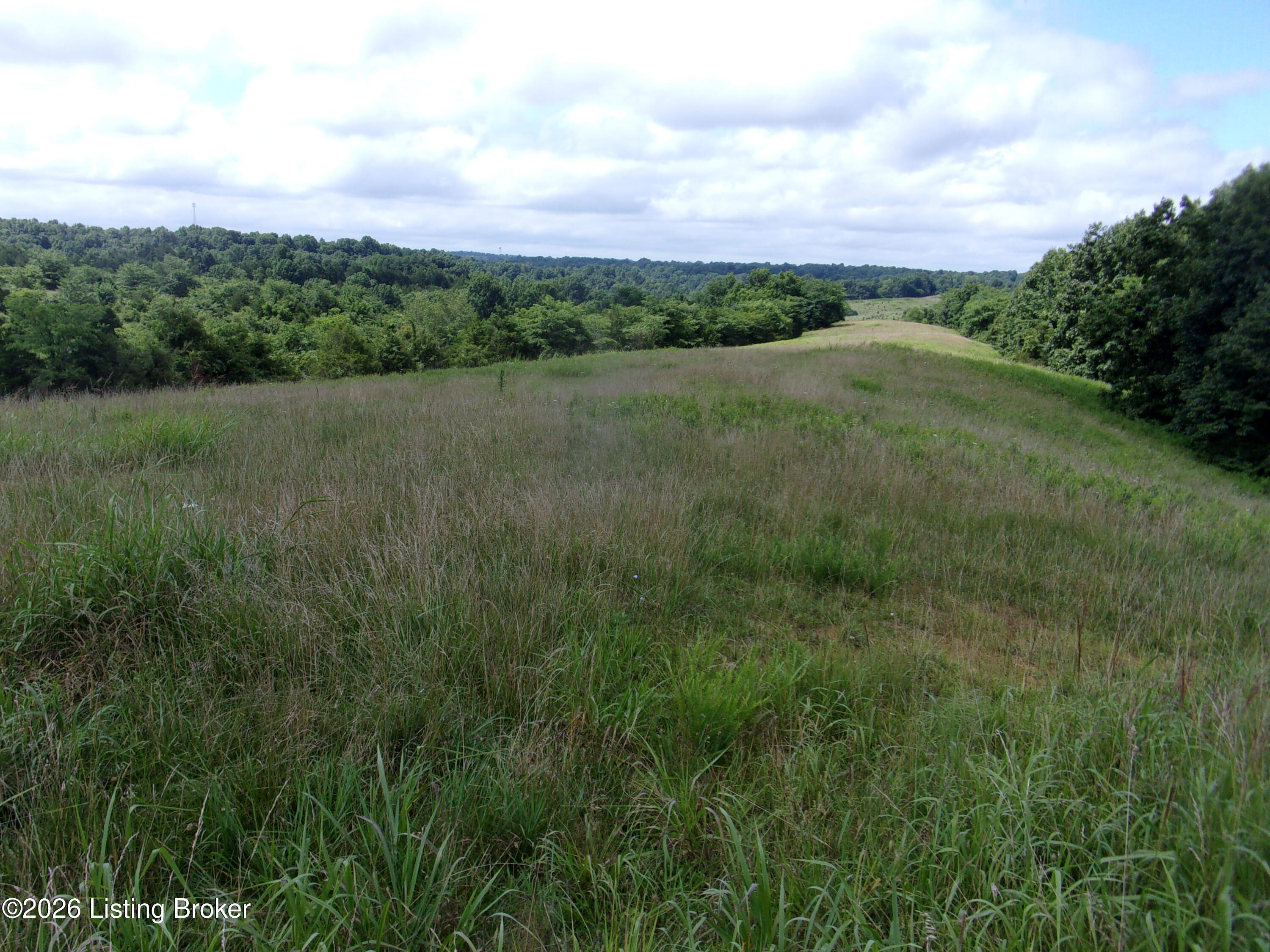 1969 Tatum Ridge Road Willisburg, KY 40078 - Photo 17 of 55 101_7586