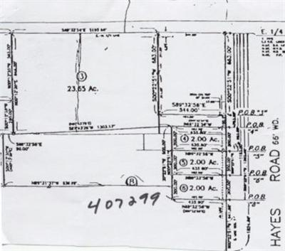 Hayes Road Muir, MI 48860 - Photo 1 of 1 Primary Photo