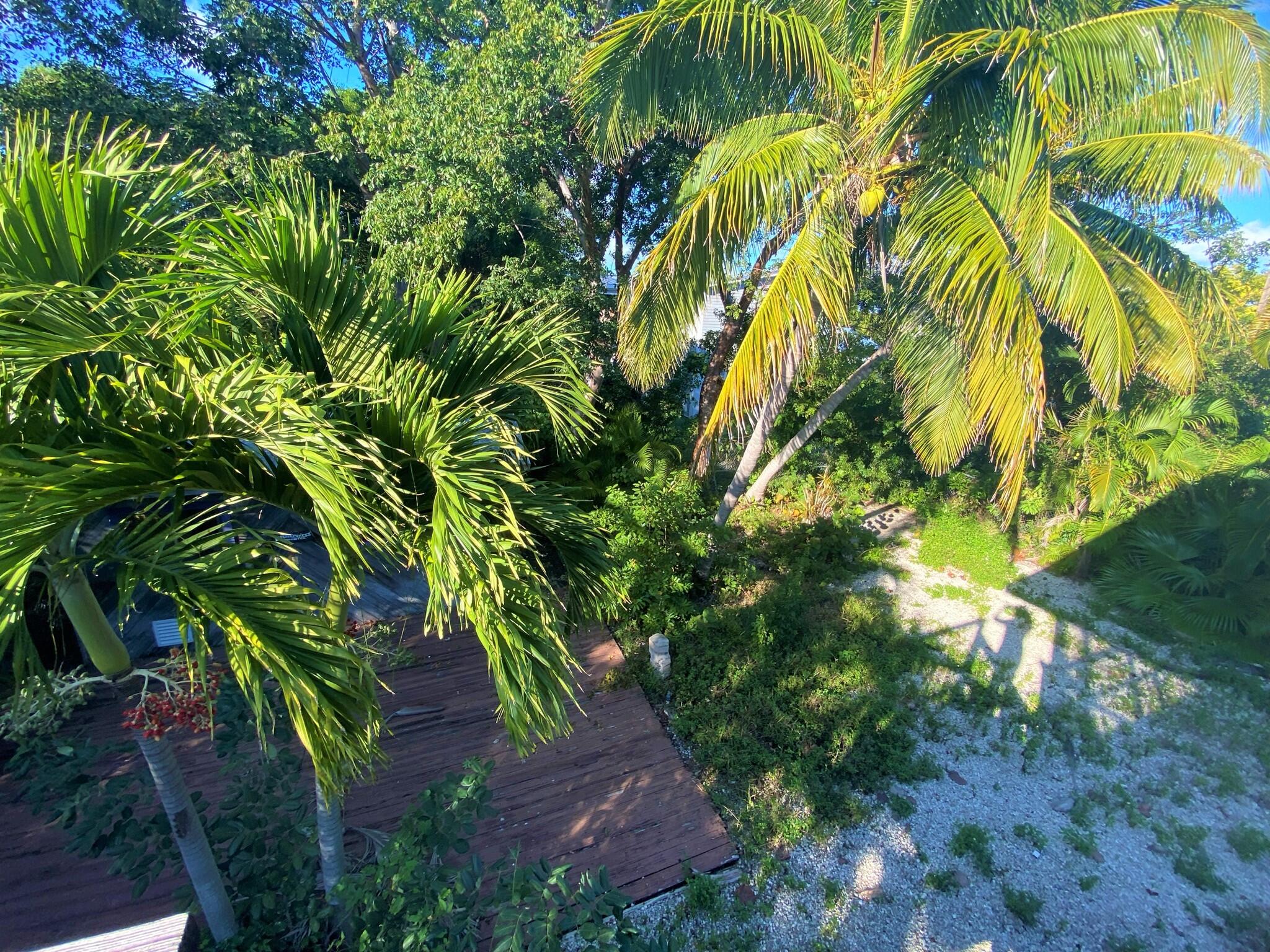27035 Dolphin Road Summerland Key, FL 33042 - Photo 12 of 15 27035 Dolphin back yard
