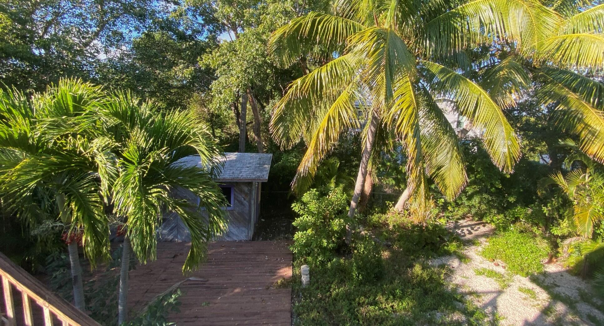 27035 Dolphin Road Summerland Key, FL 33042 - Photo 13 of 15 27035 Dolphin back yard and shed