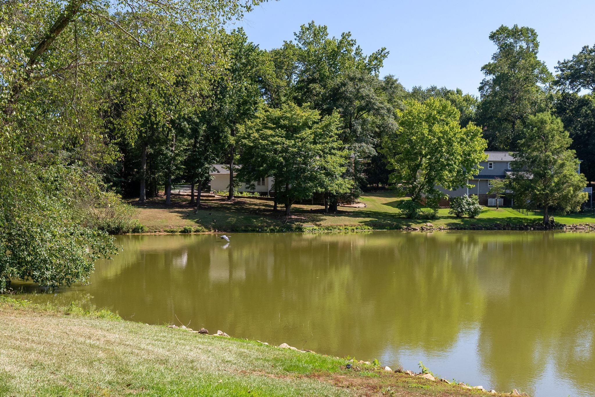 104 Bagwell Farm Road Spartanburg, SC 29302 - Photo 47 of 49 Gallery Image 47