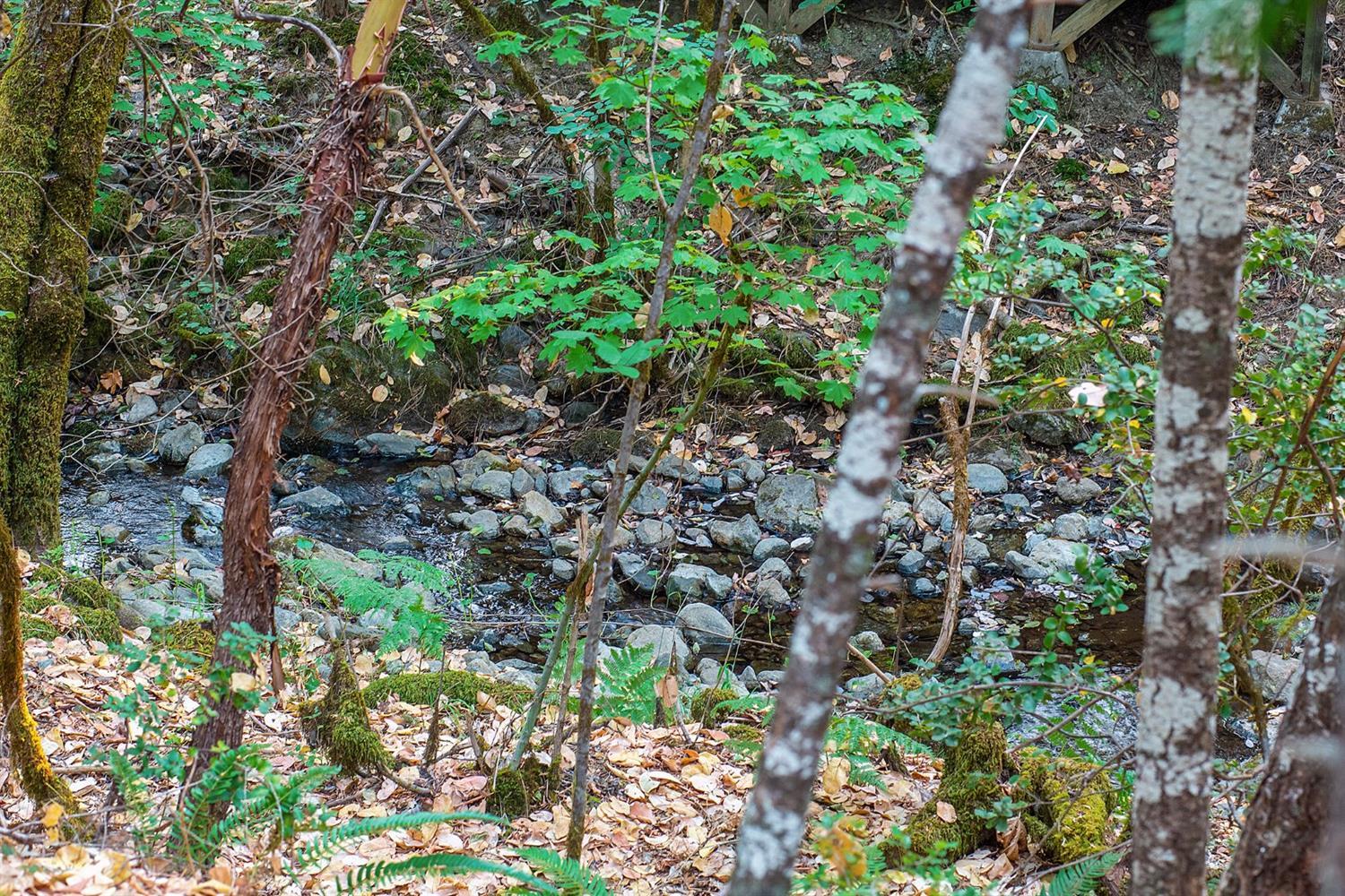 2335 Queens Branch Road Rogue River, OR 97537 - Photo 29 of 29 Additional Photo